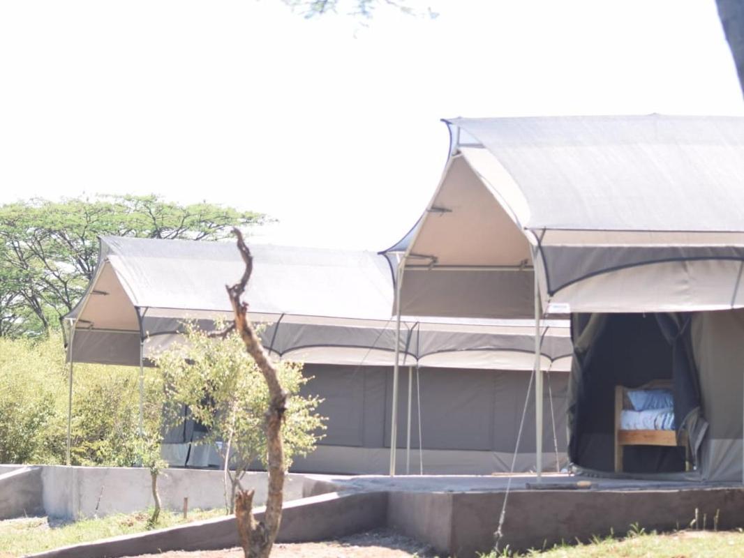 Maasai Mara Safari Camp In Kenya Bed & Breakfast Sekenani Eksteriør bilde