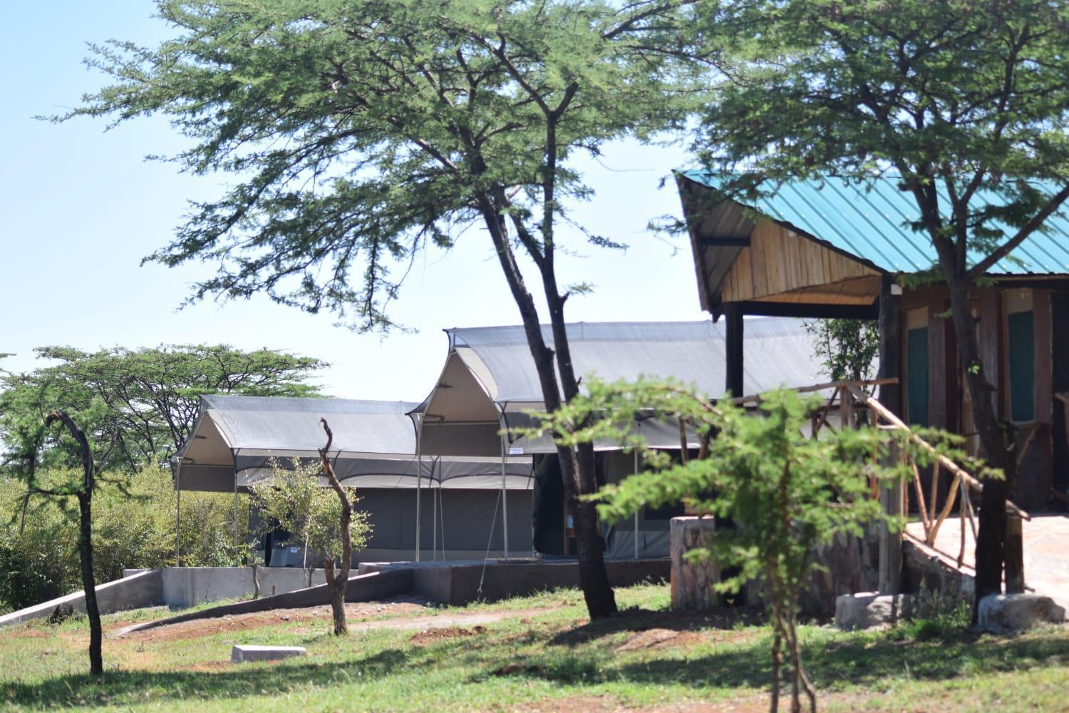 Maasai Mara Safari Camp In Kenya Bed & Breakfast Sekenani Eksteriør bilde